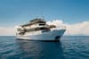 Febrina liveaboard 18