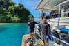 Febrina liveaboard 22