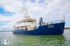 Ferox Malpelo Liveaboard 2