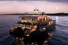 Galaxy Sirius liveaboard Galapagos 15