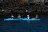 Galaxy Sirius liveaboard Galapagos 28