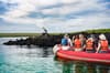 Galaxy liveaboard 33