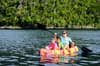Jakare Liveaboard Indonesia 13