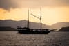 Jaya liveaboard 20
