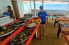 Navis 1 liveaboard 5