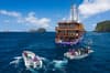 Neomi Liveaboard Indonesia 4