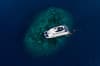Oceania liveaboard 3