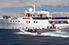 Pelagian Liveaboard 13