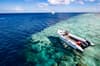 Pelagian Liveaboard 14