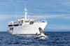 Pelagian Liveaboard 15