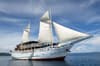 Pindito Liveaboard Indonesia