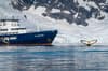 Plancius Oceanwide Expeditions 3
