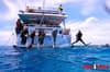 Pro Dive Cairns liveaboard 15