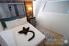 Red Sea Aggressor IV Liveaboard 12