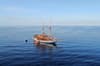 Sea Safari VI Liveaboard Indonesia 14