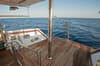 Sea Serpent Serena liveaboard Red Sea 15