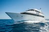 Tala Red Sea Explorers