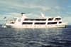 Truk Odyssey Liveaboard 12
