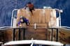 Truk Odyssey Liveaboard 15