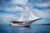 Wisesa Liveaboard 19