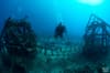 Seaventures underwater2