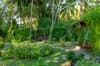 Royal Island 08
