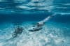 Fushifaru Maldives 31