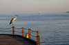 Nika Island Maldives 41