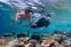 North Male Maldives Scuba Diving 4