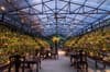 One_Only Reethi Rah North Male Maldives 14
