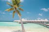 Drift Thelu Veliga Maldives 8