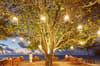 LUX South Ari Maldives 5