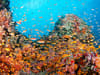 south_male_atoll_thumbnail