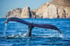 Cabo San Lucas Mexico 6