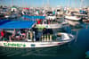 Buceo Carey La Paz Mexico 3