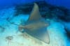 Cancun Isla Mujeres Scuba Diving Mexico 6