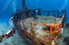 Cozumel Playa del Carmen Scuba Diving Mexico 10