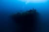 Bikini Atoll Scuba Diving 7