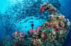 Chuuk scuba diving 3
