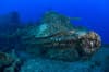 Chuuk scuba diving 8
