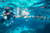 Barefoot Kuata Fiji Diving 14