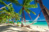 Beqa Viti Levu Kadavu Fiji Diving 12