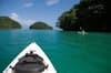 FishnFins Palau 03