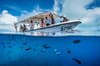 FishnFins Palau 04