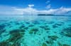 FishnFins Palau 10