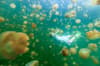 Palau Micronesia Scuba Diving 9