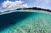 Solomon Islands scuba diving 12