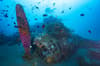 Solomon Islands scuba diving 14