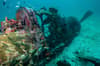 Solomon Islands scuba diving 17