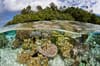 Solomon Islands scuba diving 3